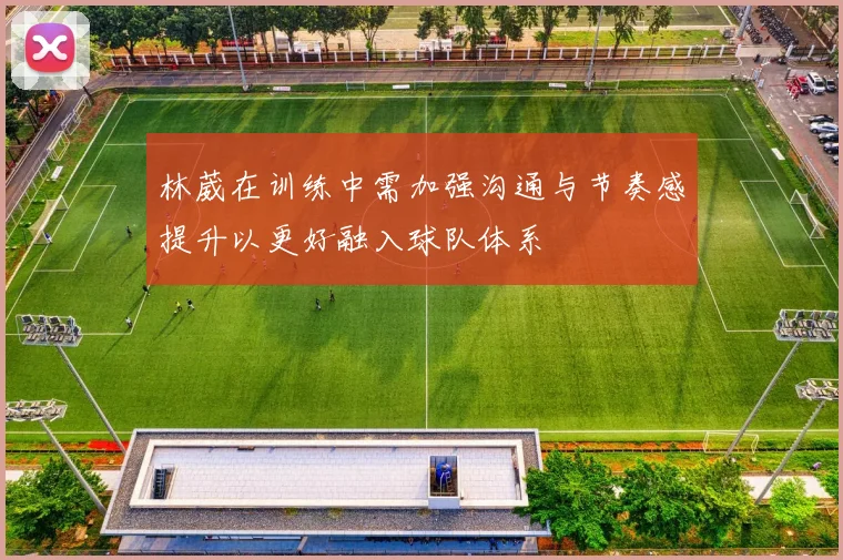 林葳在训练中需加强沟通与节奏感提升以更好融入球队体系