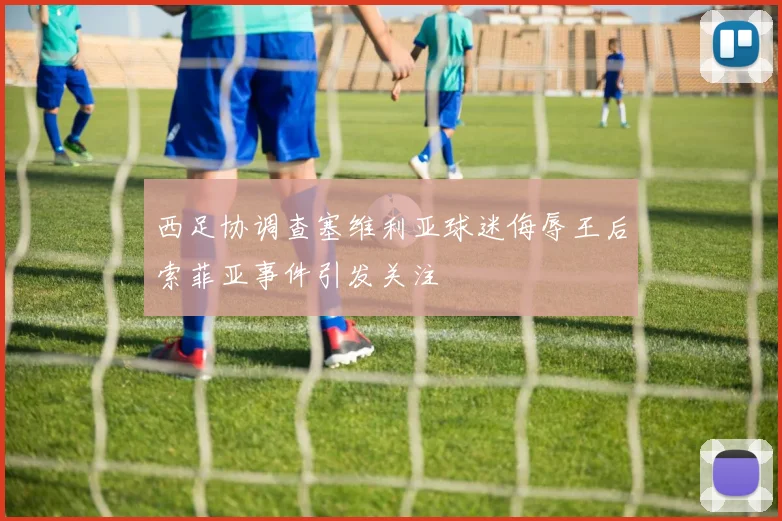 西足协调查塞维利亚球迷侮辱王后索菲亚事件引发关注